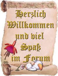 willkommen6